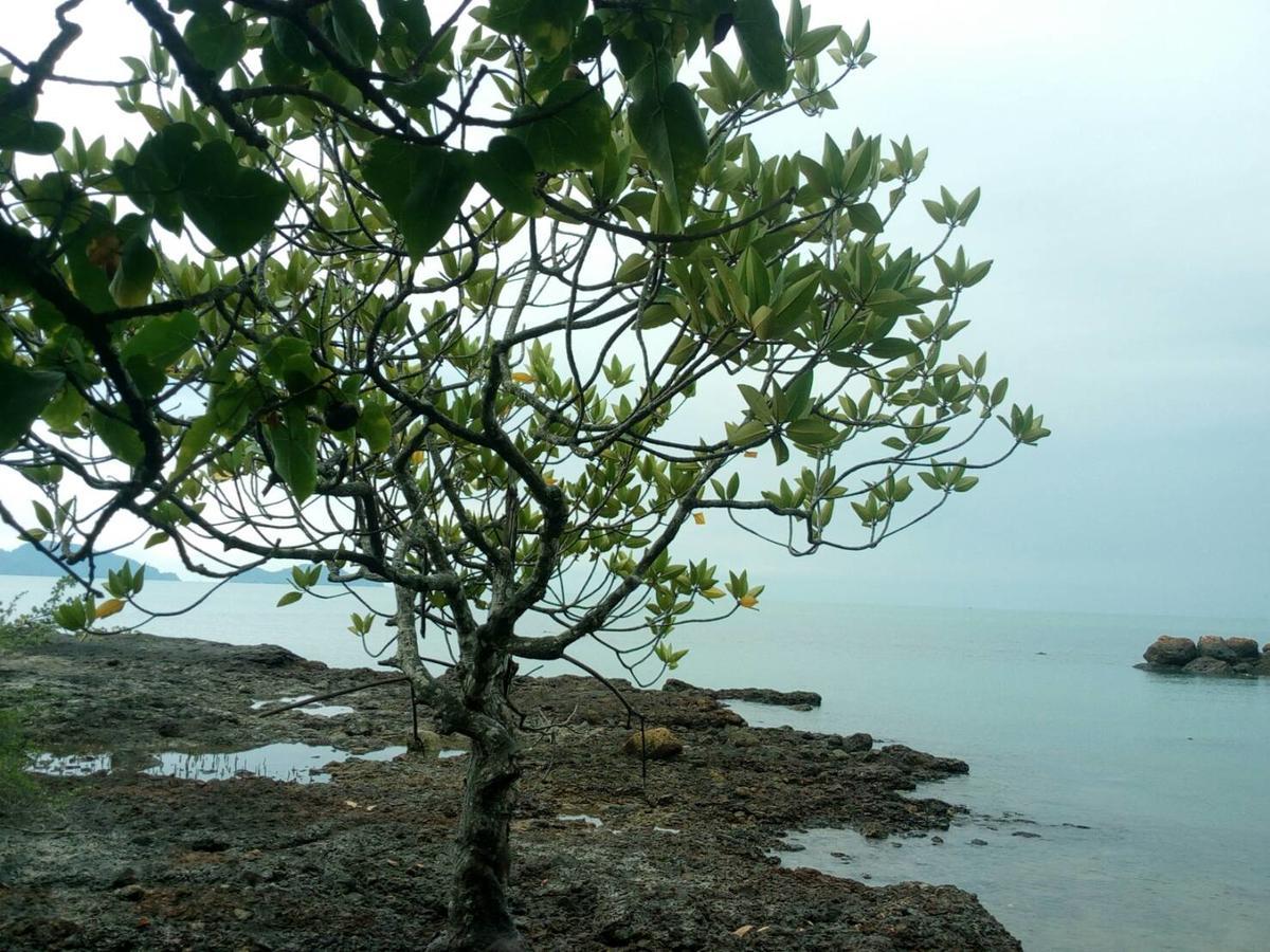 Chattong Resort Trat Buitenkant foto